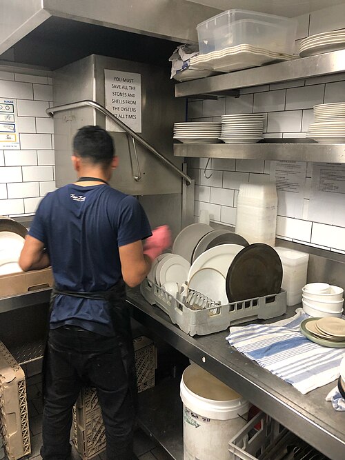 SE NECESITA PERSONAL DE LAVA PLATOS EN CRUCEROS | RESTAURANTES DE LUJO Y HOTELES